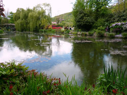 Le jardin d'eau