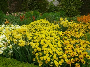 JardinExpoMonet Jardin du Musée des Impressionnistes