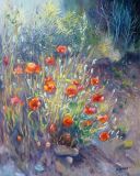 CoquelicotsIII