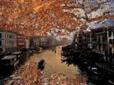 oeuvre de l'artiste PERRINE Guy : Venise automnale