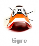 TIGRE ( zoo de Gaza )