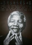 oeuvre de l'artiste Jinks Kunst : Nelson Mandela