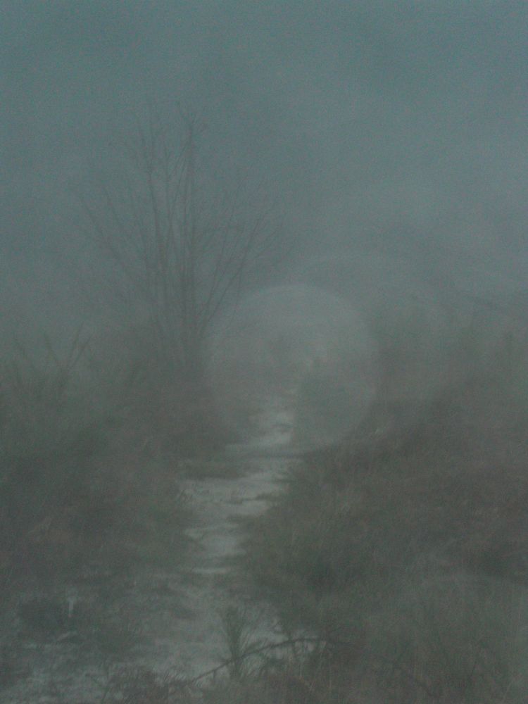 Artiste RAYSSEGUIER-LESTAGE Jason