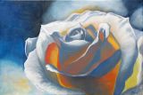 La Rose Blanche