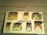 wanted