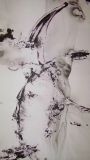 oeuvre de l'artiste PAQUET Jean : Optical Dream