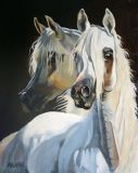 ARABIANS