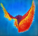 oeuvre de l'artiste SALOMON Sarah Agathe : Bird of Paradise