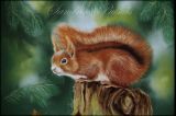 oeuvre de l'artiste PUISAIS Sandrine : écureuil