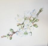 oeuvre de l'artiste Cathy Durand : Fleurs de cerisier
