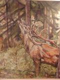oeuvre de l'artiste PINON Alain : Cerf en sous bois