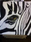 l'oeil de zèbre