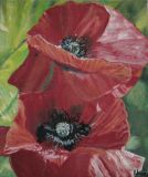oeuvre de l'artiste Nadège : Coquelicots