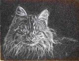 oeuvre de l'artiste GENDREAU Joel : Un chat agouti