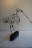 oeuvre de l'artiste VAN BAREN Laurence : aigrette ébouriffée