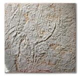 Materiography n°195 VERRE SUR OR