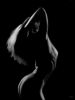 Artiste DAUNIS Pierre-olivier