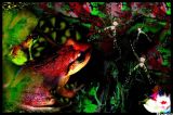 oeuvre de l'artiste Swann : "Versus"