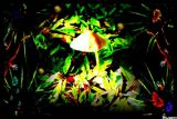oeuvre de l'artiste Swann : "Mushroom"