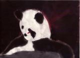 Old panda